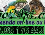 zoo24-logo